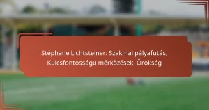 Stéphane Lichtsteiner: Szakmai pályafutás, Kulcsfontosságú mérkőzések, Örökség