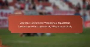 Stéphane Lichtsteiner: Világbajnoki tapasztalat, Európa-bajnoki hozzájárulások, Válogatott örökség