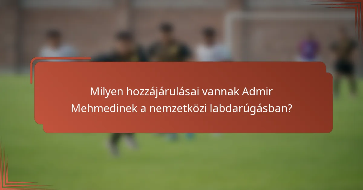 Milyen hozzájárulásai vannak Admir Mehmedinek a nemzetközi labdarúgásban?